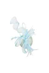 Elegant Loop Mesh Fascinator with Feather Detail