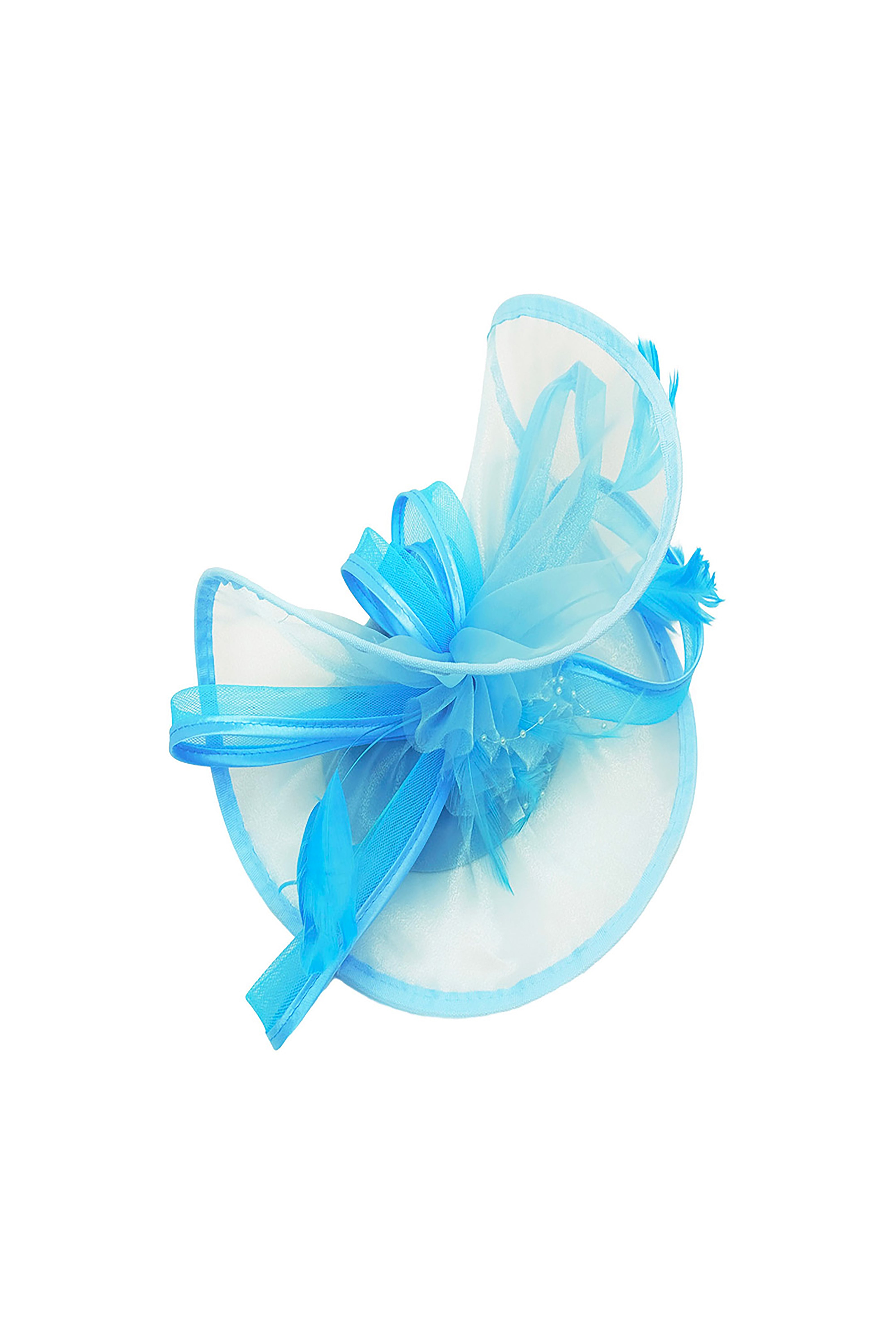Elegant Mesh Loop Fascinator Headpiece