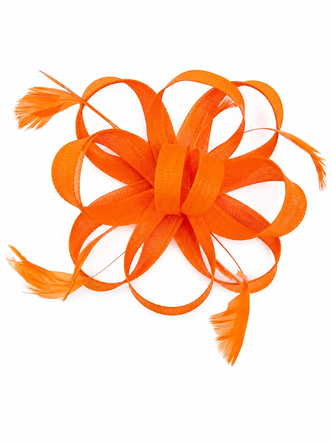 Feather Loop Fascinator Headband fo Royal Ascot & Race Day