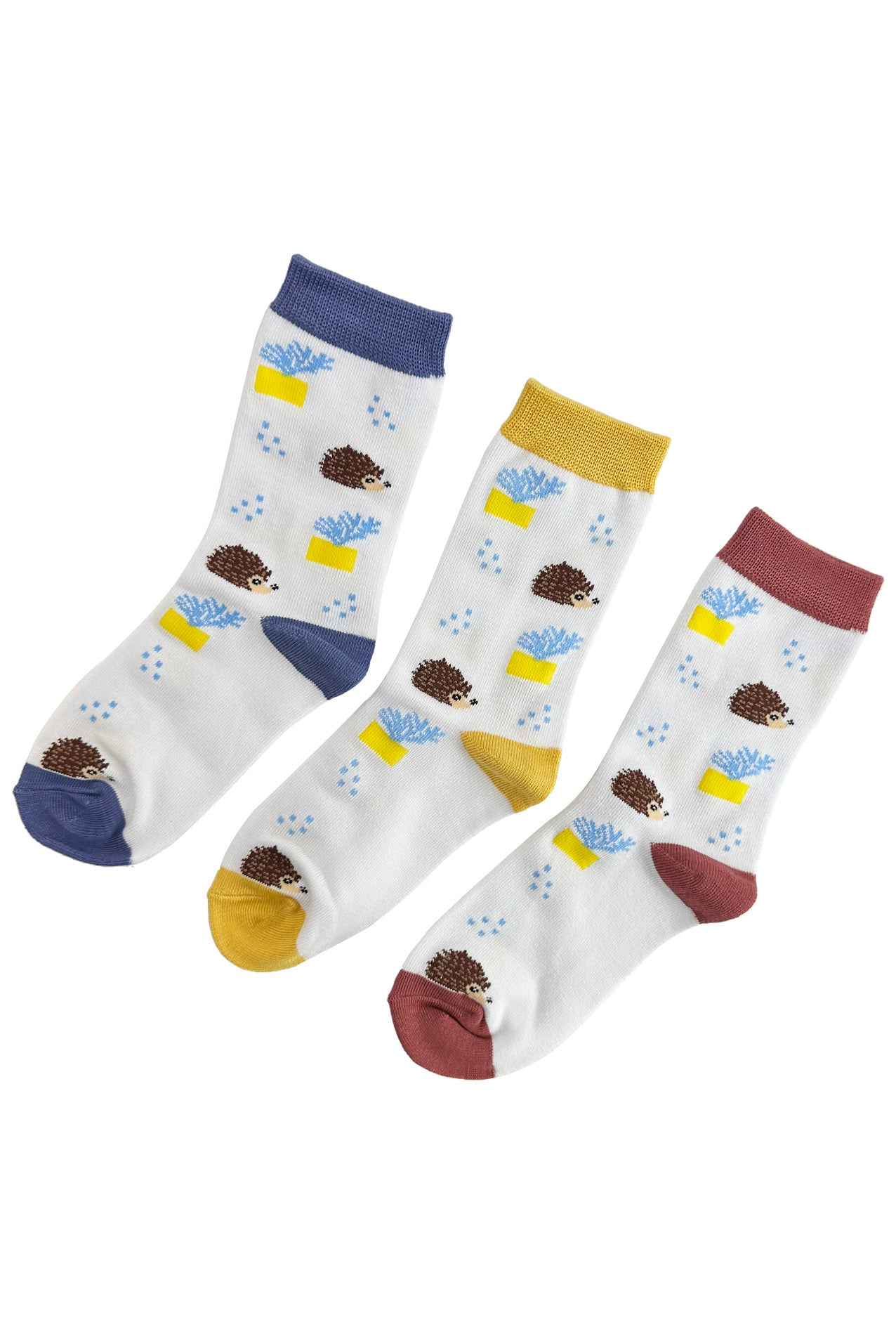 Women’s Bamboo Hedgehog Print Socks – 3 Pack with Gift Box