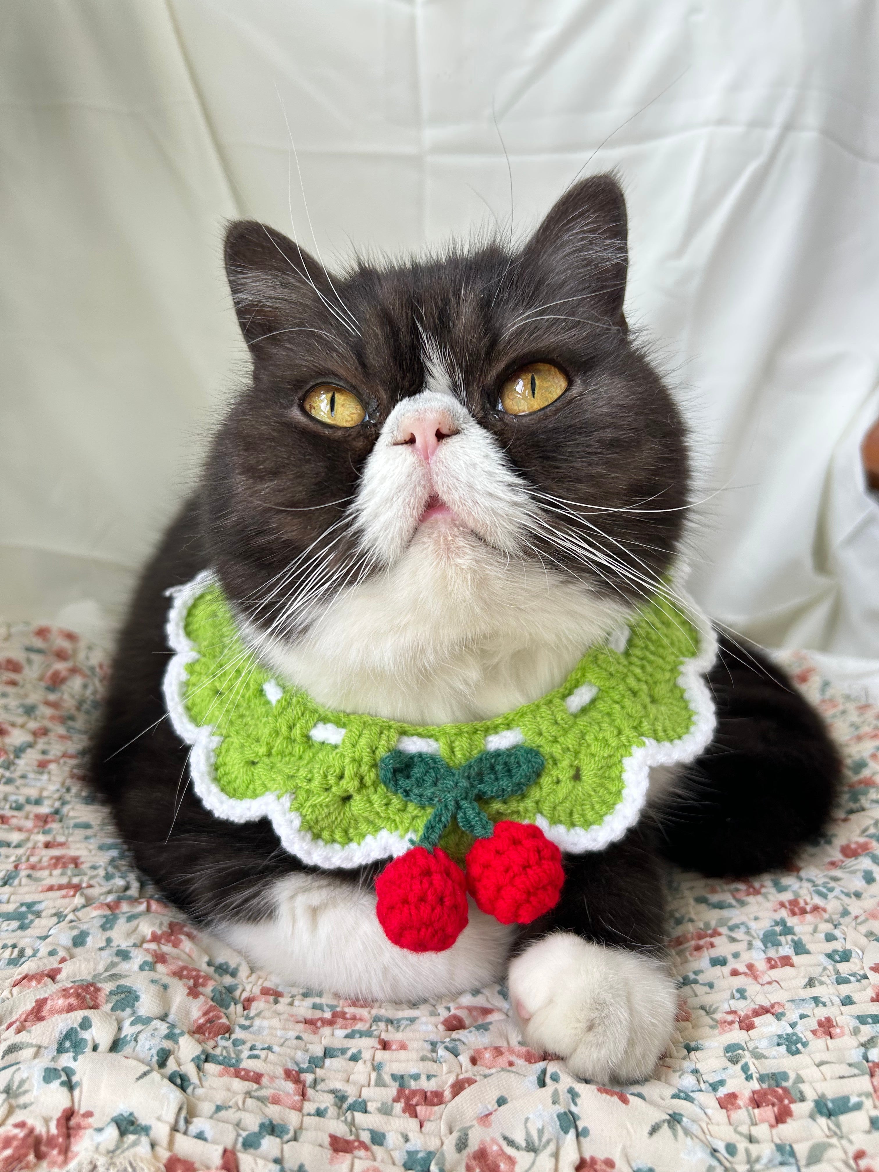 Green Crochet Pet Collar with Cherry Detail