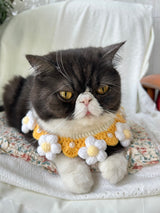 Crochet Pet Collar with Daisy Detail
