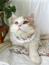 Cream Crochet Pet Collar with Ribbon Bows and Flowers
