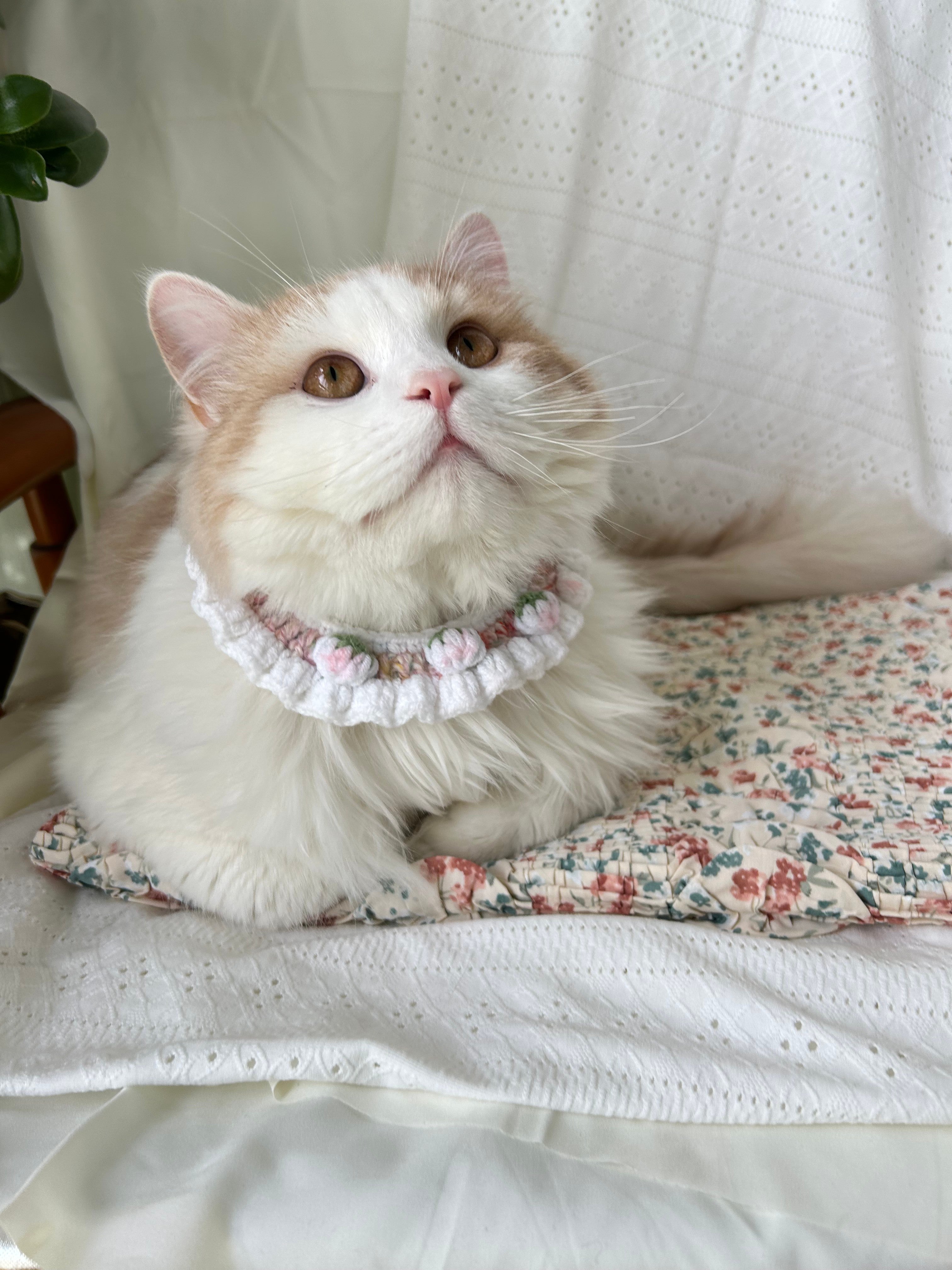 Cream Crochet Pet Collar with Ribbon Bows and Flowers