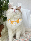Crochet Pet Collar with Daisy Detail