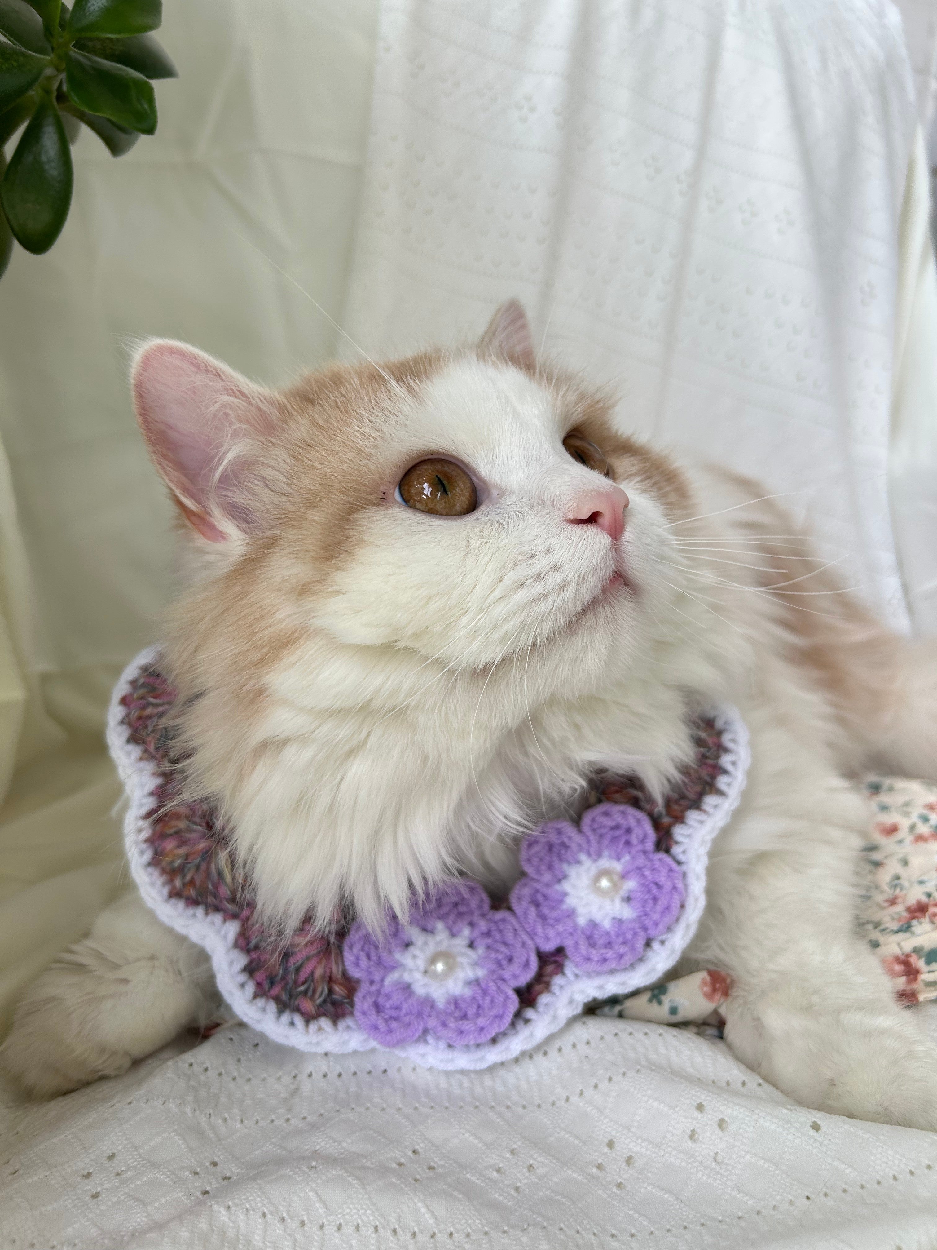Crochet Pet Collar with Purple Flower Detail