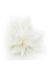Elegant Feather Fascinator Headband for Weddings, Races & Special Occasions – Ladies Statement Headpiece
