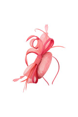 Elegant Loop Mesh Fascinator with Feather Detail