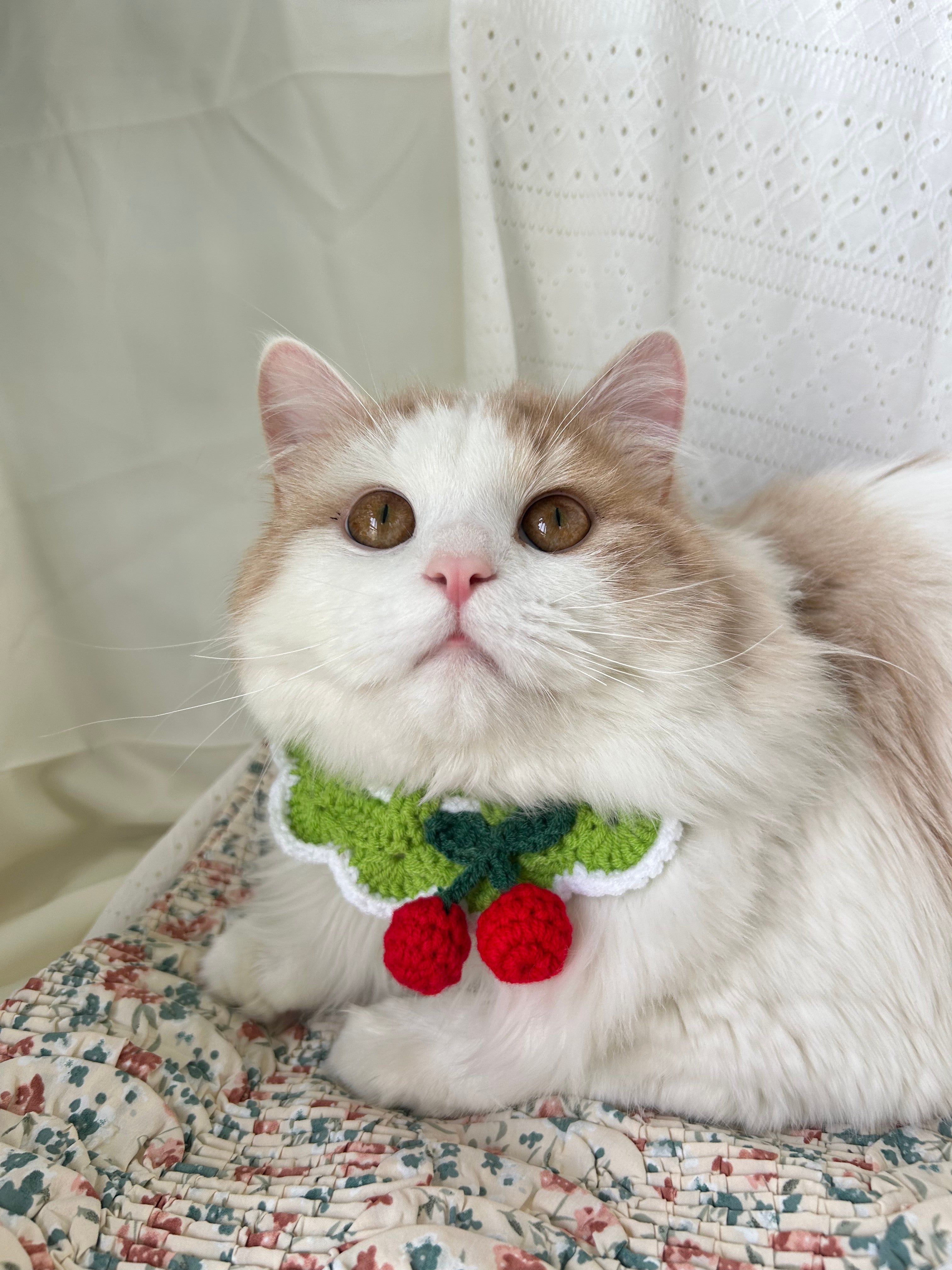 Green Crochet Pet Collar with Cherry Detail