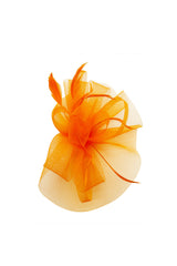 Elegant Feather Fascinator