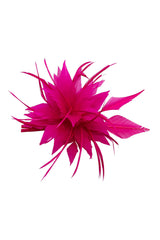 Elegant Feather Fascinator Headband for Weddings, Races & Special Occasions – Ladies Statement Headpiece
